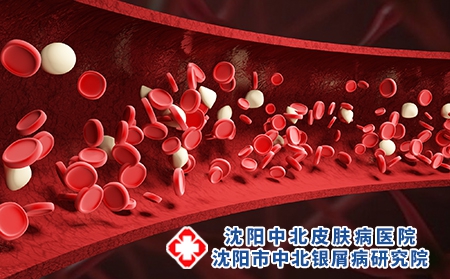 攝圖網(wǎng)_400139901_血紅細(xì)胞血管場(chǎng)景（企業(yè)商用）