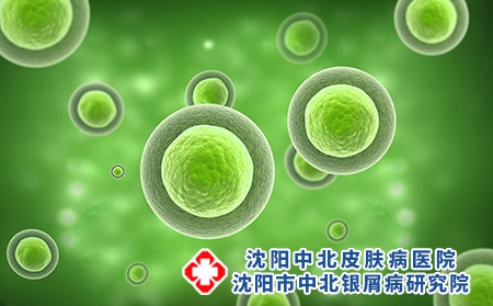攝圖網_400203572_細胞真菌生物結構（企業商用）