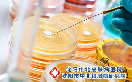 攝圖網_501514690_測試抗生素藥物（企業商用）