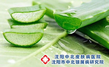 2 (134)蘆薈